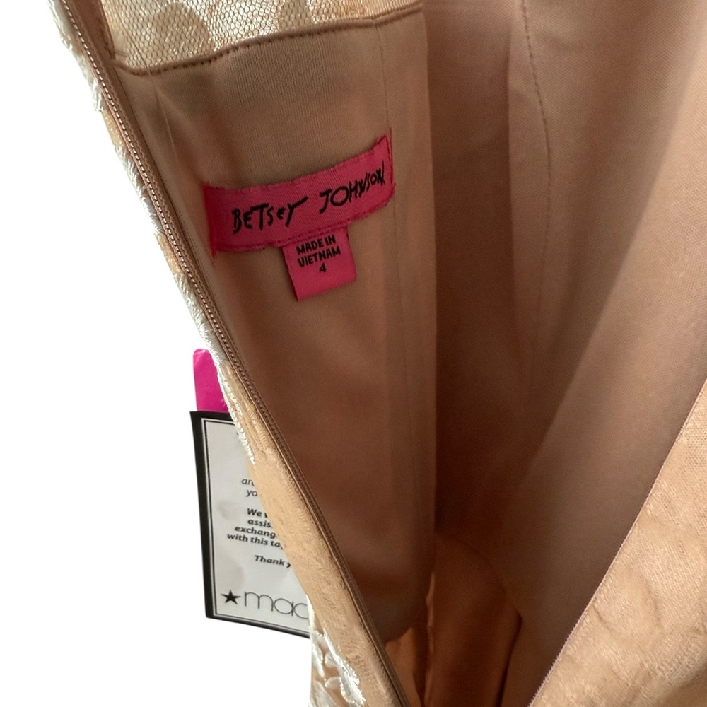 Betsey Johnson Embroidered Mesh Illusion Dress In Nude Ivory Size 4 NWT - Picture 6 of 8
